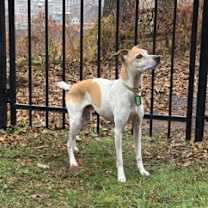 Thumbnail photo of Clarke #2