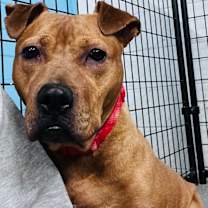 Thumbnail photo of Dylan #1