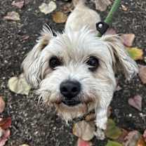 Thumbnail photo of Jammies #2