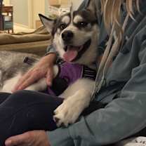 Thumbnail photo of Sage #1