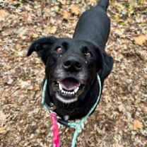 Thumbnail photo of Maisy #1