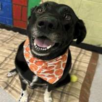 Thumbnail photo of Maisy #2