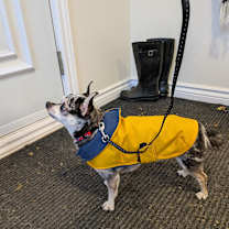 Thumbnail photo of Brooklyn #2