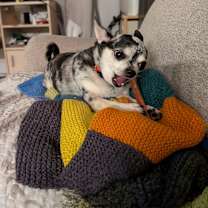 Thumbnail photo of Brooklyn #3