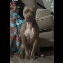 Thumbnail photo of Stoney #4