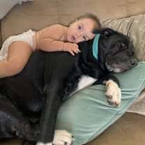 Thumbnail photo of Luna #4