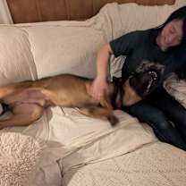 Thumbnail photo of Blitz #2