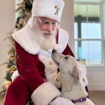 Thumbnail photo of Dobby #4