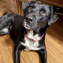 Thumbnail photo of Shylee #2