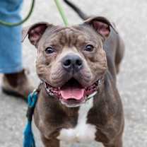 Thumbnail photo of Potahto #4