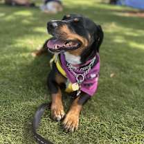 Thumbnail photo of Lorelai #4