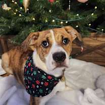 Thumbnail photo of Noah JuM/AL #1