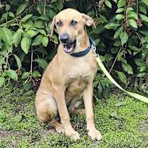 Thumbnail photo of Willie Nelson #2