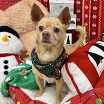 Thumbnail photo of Pablo #2