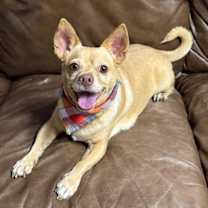 Thumbnail photo of Pablo #4