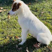 Thumbnail photo of Anna #2