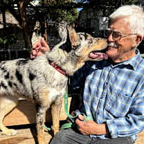 Thumbnail photo of PIPPA #3