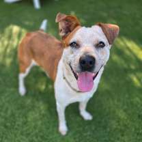 Thumbnail photo of Angeline #1