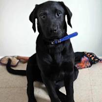 Thumbnail photo of Tuke #2