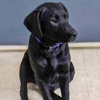 Thumbnail photo of Tuke #3