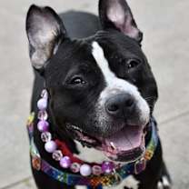 Thumbnail photo of Matilda #1