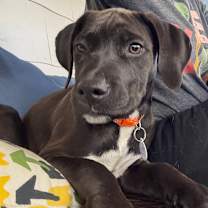 Thumbnail photo of Harriet #1