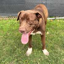 Thumbnail photo of Tank 25-11-053 #4