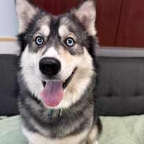 Thumbnail photo of Storm  #4