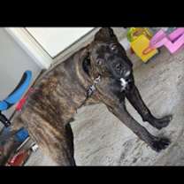 Thumbnail photo of Cooper #1