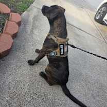 Thumbnail photo of Cooper #2