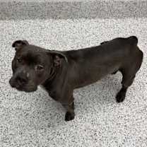 Thumbnail photo of Solo #2