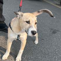 Thumbnail photo of Jaxson #3