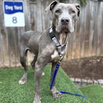 Thumbnail photo of Sawyer #1