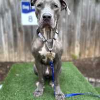 Thumbnail photo of Sawyer #2