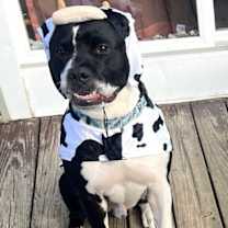 Thumbnail photo of Mulligan #2