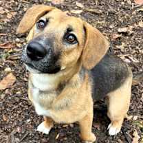 Thumbnail photo of Twix #2