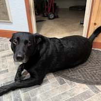 Thumbnail photo of Reba #1