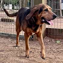 Thumbnail photo of Polar Bear #1