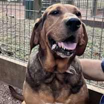 Thumbnail photo of Polar Bear #2