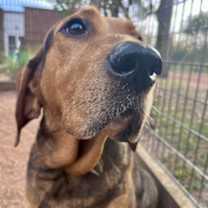 Thumbnail photo of Polar Bear #3