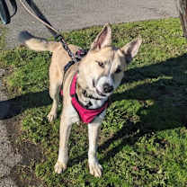 Thumbnail photo of Jaxson #2