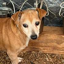 Thumbnail photo of Bobo #2