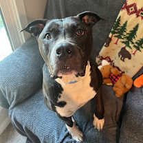 Thumbnail photo of Karma #4