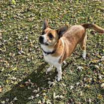 Thumbnail photo of Gunner #4