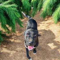 Thumbnail photo of Luke #4