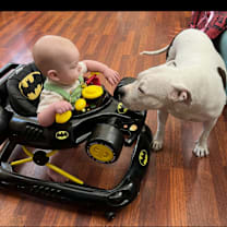 Thumbnail photo of Mystique #3