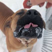 Thumbnail photo of Athena #3