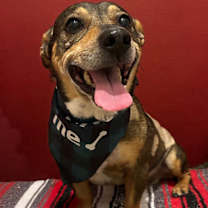 Thumbnail photo of Cowboy #1