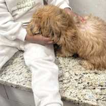 Thumbnail photo of Milo #2