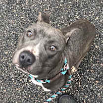 Thumbnail photo of Forrest #1